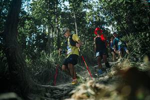 BIB: 
                            <button type="button" onclick="openModal(25985875)" class="btn btn-primary btn-sm float-right btn-popup" data-toggle="modal" data-target=".modal-high-quality">
                        <i class="fas fa-shopping-cart"></i> Add to Cart
                    </button>
                                            <button type="button" onclick="isThisMe(25985875, true)" class="btn btn-success btn-sm float-right btn-popup btn-isme hidden" data-toggle="tooltip" data-placement="bottom" title="นี่คือรูปของคุณใช่ไหม คลิกที่นี่เพื่อเอาเข้าอัลบั้ม">
                        <i class="fas fa-plus"></i> Add to album
                    </button>
                    <button type="button" onclick="isThisMe(25985875, false)" class="btn btn-warning btn-sm float-right btn-popup btn-isnotme hidden">
                        <i class="fas fa-ban"></i> Remove from album
                    </button>